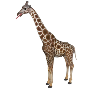 精品动物模型 长颈鹿